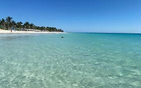 Maison Tulum Hotel